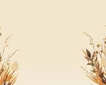 cropped-cropped-beige-header-4.jpg